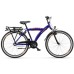 Batavus Snake 26 inch