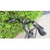 Trek Leisure E-bike