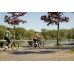 VELO DE VILLE AEB 890 PURE