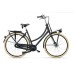 Batavus Packd 7