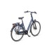 Batavus Senz Comfort