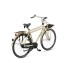 Batavus Packd 3