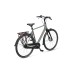 Batavus Fonk N7
