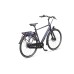 Batavus Mambo N7 