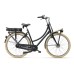 Batavus Packd E-go