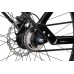 Batavus Razer E-go Exclusive Bes3