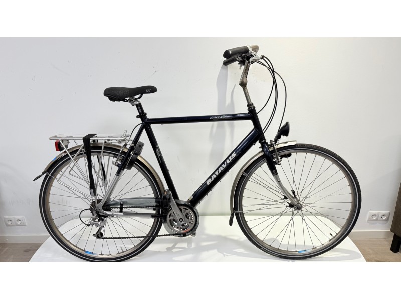 Batavus Cibola T24