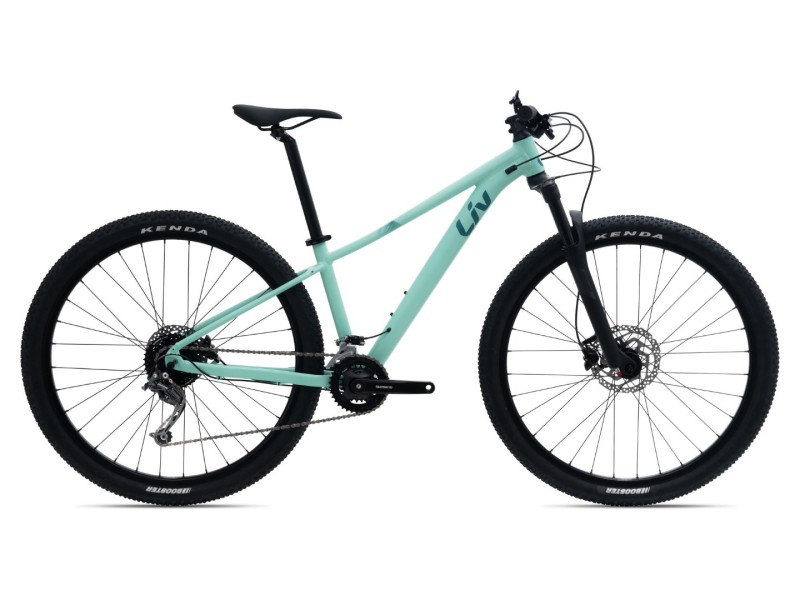 Liv Tempt 2 29''
