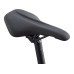 Giant Roam Disc 2