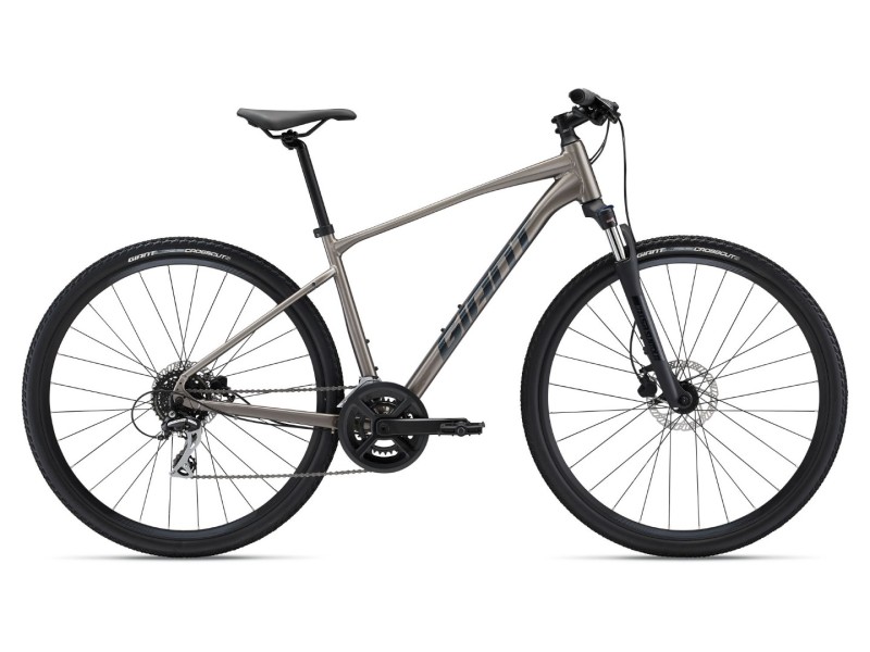 Giant Roam Disc 3