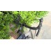Beone Mistral 24 Racefiets Beone Mistral 24 Racefiets